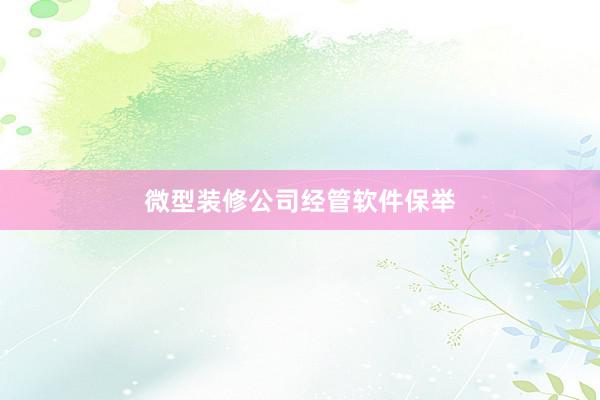 微型装修公司经管软件保举