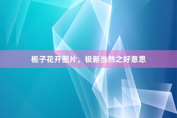 栀子花开图片，极新当然之好意思