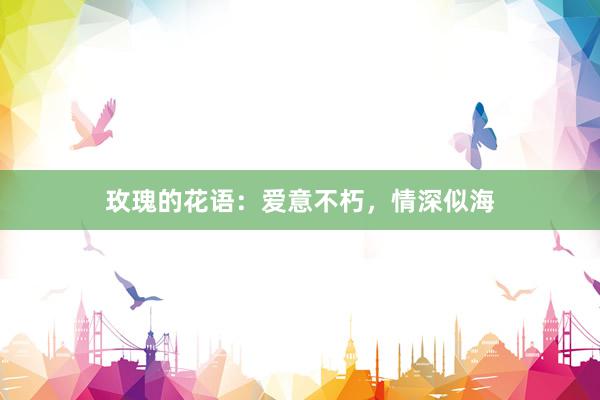 玫瑰的花语：爱意不朽，情深似海