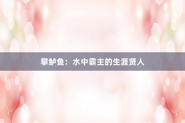 攀鲈鱼：水中霸主的生涯贤人